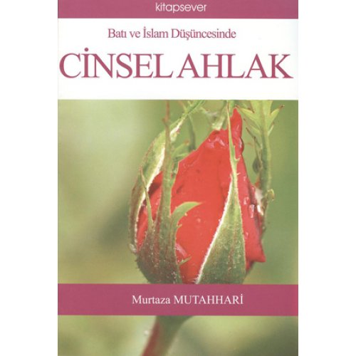 Cinsel Ahlak